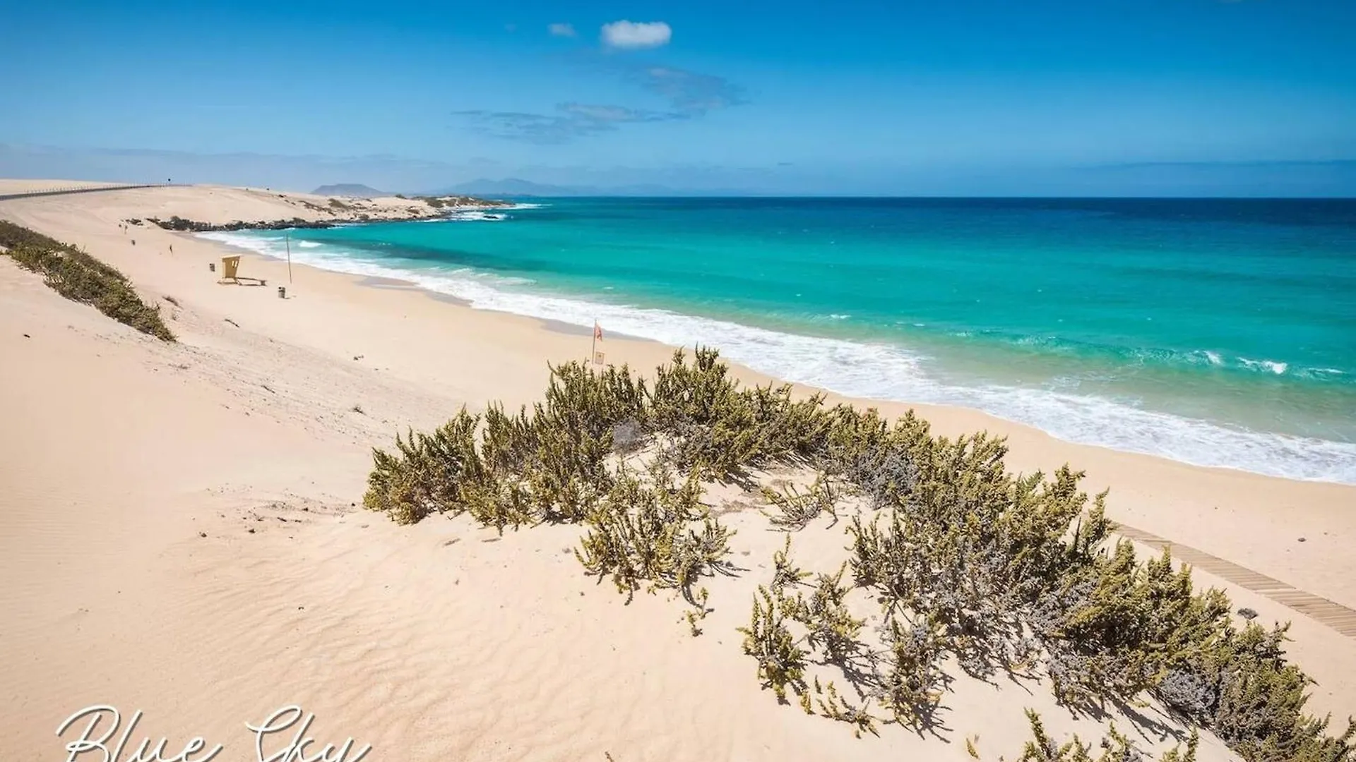 Corralejo Sun 335 Blue Sky By Rentalfue